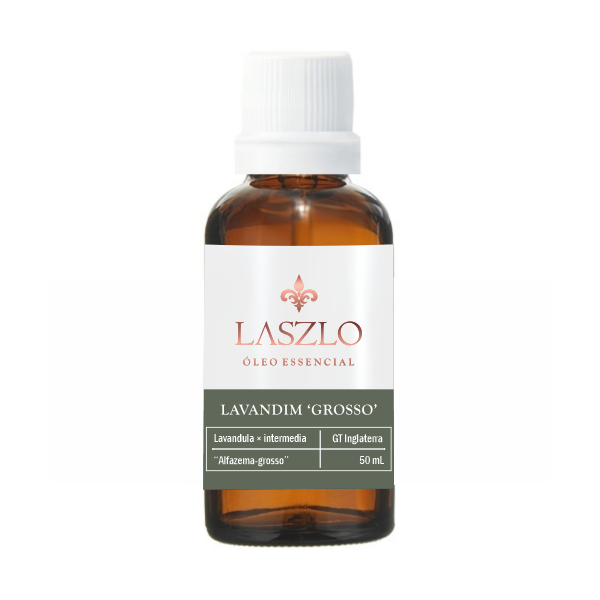 Oleo Essencial de Lavandim Grosso - Laszlo - Frasco com 50ml - Mundo dos Óleos