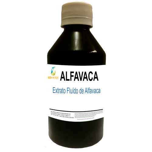 Extrato Fluido de Alfavaca - Mundo dos Óleos