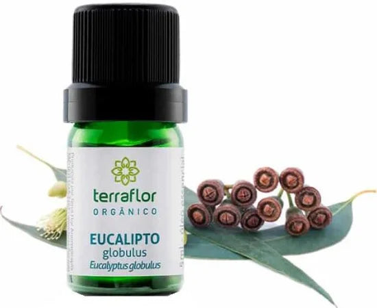 Óleo Essencial de Eucalipto Glóbulos (Orgânico) Terra Flor - Frasco com 5ml - Mundo dos Óleos