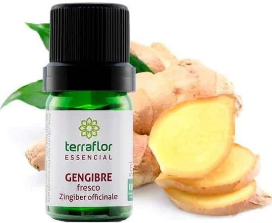 Óleo Essencial de Gengibre Fresco - Terra Flor - Frasco com 5ml - Mundo dos Óleos