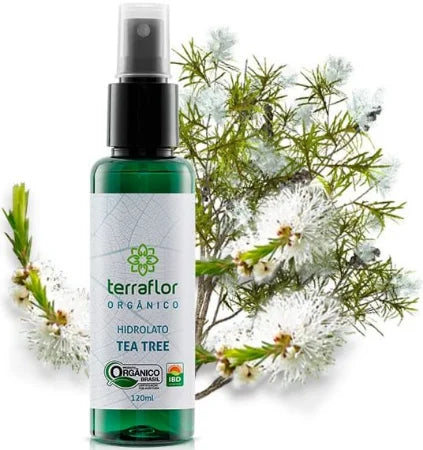 Hidrolato (Orgânico) de Tea Tree - Terra Flor - Frasco com 120ml - Mundo dos Óleos