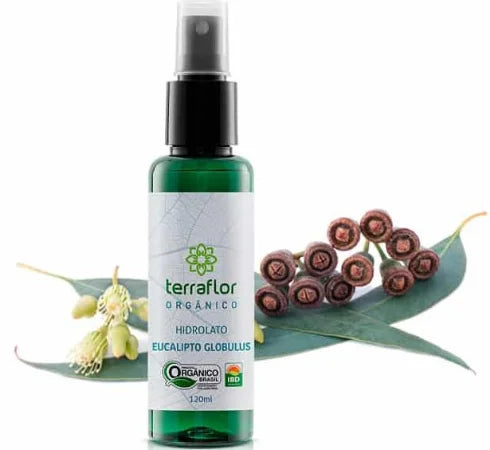 HIdrolato (Orgânico) de Eucalipto Globulus - Terra Flor - Frasco com 120ml - Mundo dos Óleos