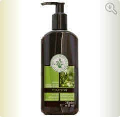Shampoo de Ervas Estimulantes - Fortalecimento Capilar - Multi Vegetal - Frasco com 240ml - Mundo dos Óleos