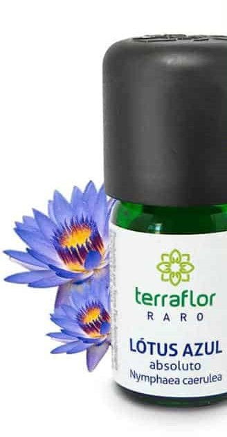 Óleo Essencial de Absoluto Lótus Azul - Terra Flor - Frasco com 3ml - Mundo dos Óleos