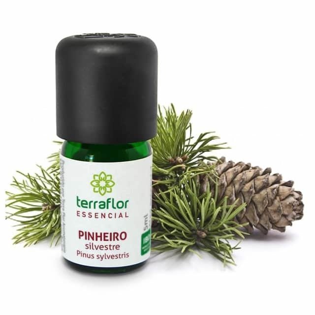 Óleo Essencial de Pinheiro Silvestre - Terra Flor - Frasco com 5ml - Mundo dos Óleos