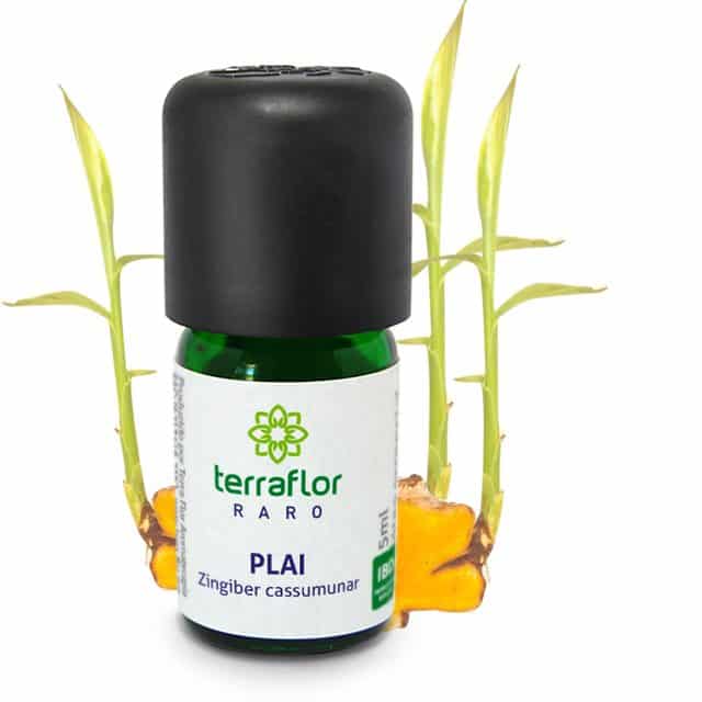 Óleo Essencial de Plai - Terra Flor - Frasco com 5ml - Mundo dos Óleos