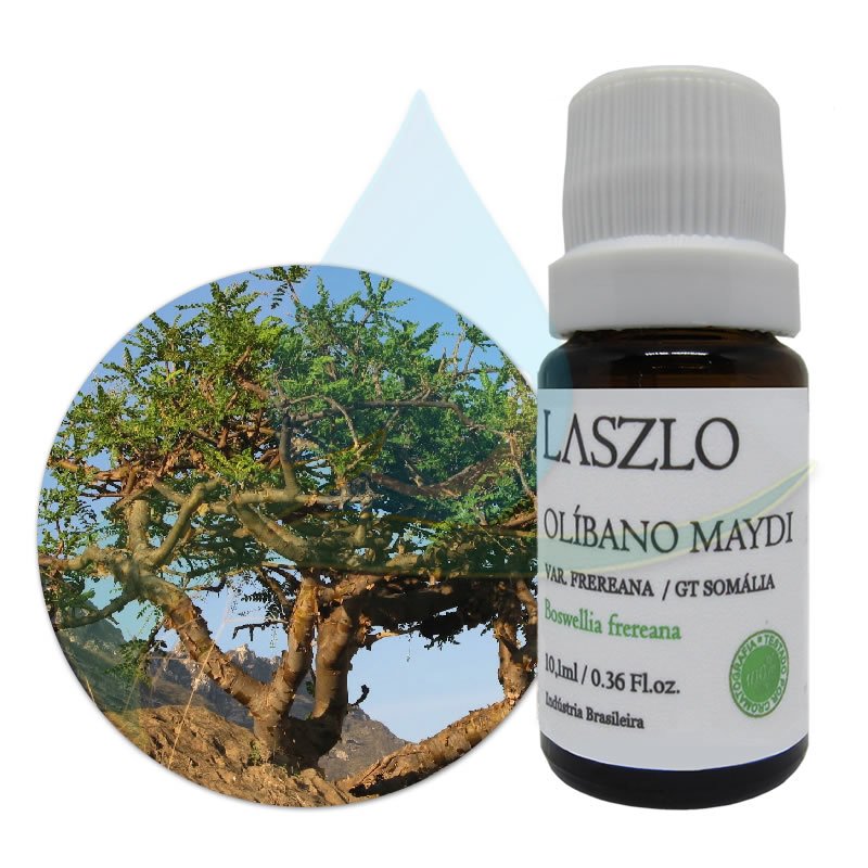 Óleo Essencial de Olíbano Maydi Var. Frereana - Laszlo - Frasco com 10ml - Mundo dos Óleos
