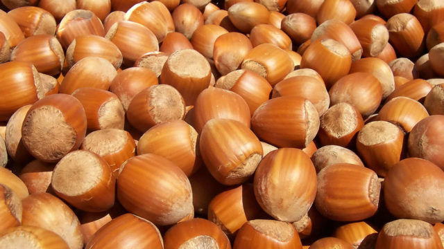 O Óleo de Avelã não é só gostoso, é saudável também! Confira os benefícios