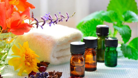 Conheça quais são os métodos de extração de óleos essenciais