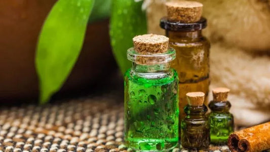 Você sabe o que são os óleos essenciais e os extratos Oleosos? Então saiba agora!