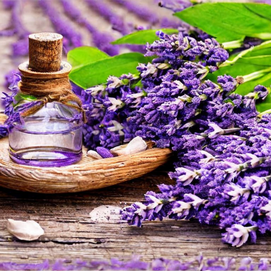 O óleo de lavanda e sua efetividade nos sintomas da ansiedade