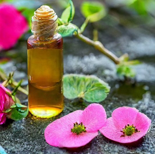 Nistatina e Óleo de Rosa Mosqueta Para Que Servem