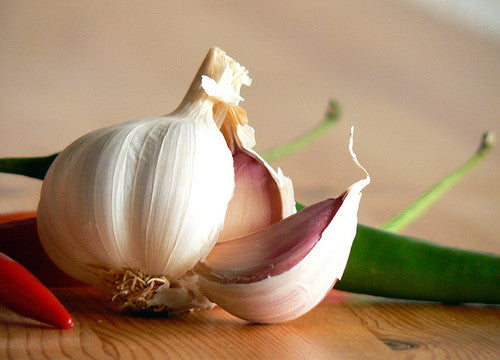 É gripe? Experimente o Alho!