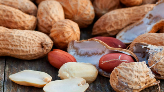 Óleo de Amendoim: Não só não causa como ajuda a prevenir o Câncer!