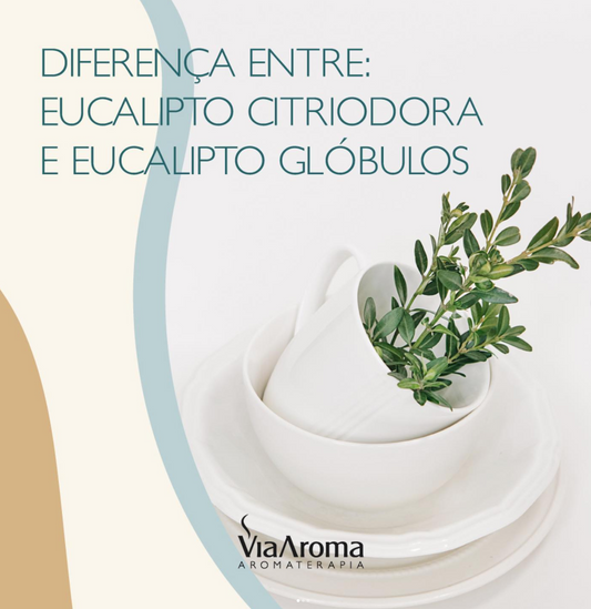 Diferença Entre Eucalipto Glóbulos e Citriodora
