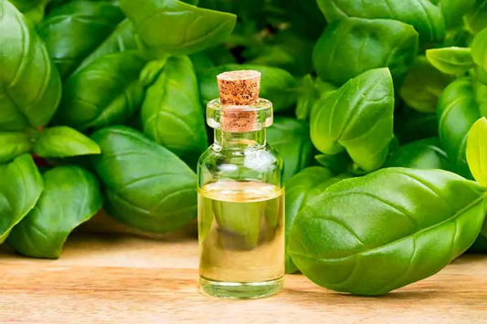 RELAÇÃO DE PICO ESPECÍFICO DE FTIR À MORTALIDADE DE LAGARTAS DE Ascia monuste orseis NO TRATAMENTO DE Brassica oleracea var. acephala COM ÓLEO ESSENCIAL DE Melaleuca alternifolia
