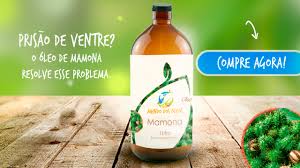Como Tomar o Óleo de Mamona?