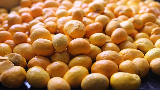 Cuide do Cabelo Quimicamente Tratado com Óleo Vegetal de Pequi