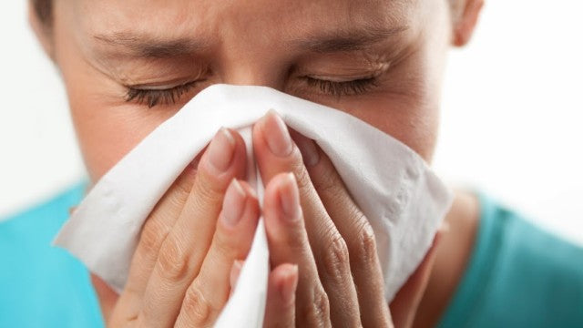Contra Gripes e Resfriados: Óleo Essencial de Cravo