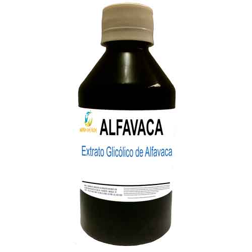 Extrato Glicólico de Alfavaca