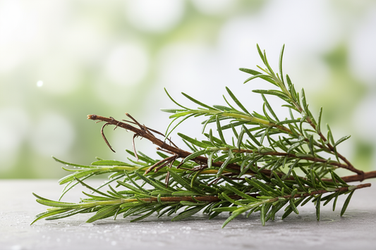 Óleo Essencial de Alecrim Cânfora
Ingrediente aromático com notas herbais e ação revitalizante para uso cosmético e ambiental
SEM TEXTO NA IMAGEM
Nome Científico: Rosmarinus officinalis CT Cânfora

NCM: 3301.29.19

Parte Utilizada: Folhas e ramos

Método de Extração: Destilação a vapor

INCI Name: Rosmarinus Officinalis Leaf Oil

Quimiotipo: Cânfora (QT Cânfora)

Outros Nomes Populares: Alecrim Cânfora, Alecrim Camforado, Rosemary CT Camphor