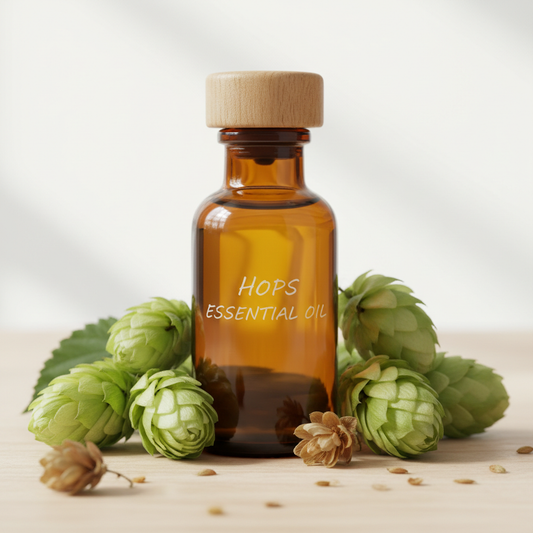 Óleo Essencial de Lúpulo

Nome botânico (INCI): Humulus lupulus Oil
CAS: 8007-04-3
Parte utilizada: Flores femininas (cones)
Método de extração: Destilação a vapor
Origem: Estados Unidos
Pureza: 100% puro e natural, sem aditivos

Características Físico-Químicas
Aparência: Líquido oleoso amarelo a âmbar
Odor: Amadeirado, herbáceo, terroso e levemente amargo
Solubilidade: Solúvel em água. Solúvel em óleos e solventes orgânicos
Densidade: 0,870 – 0,900 g/mL