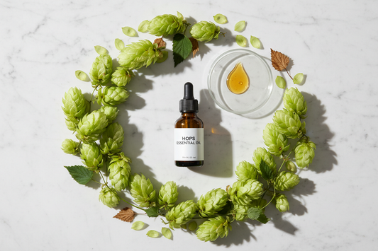 Óleo Essencial de Lúpulo

Nome botânico (INCI): Humulus lupulus Oil
CAS: 8007-04-3
Parte utilizada: Flores femininas (cones)
Método de extração: Destilação a vapor
Origem: Estados Unidos
Pureza: 100% puro e natural, sem aditivos

Características Físico-Químicas
Aparência: Líquido oleoso amarelo a âmbar
Odor: Amadeirado, herbáceo, terroso e levemente amargo
Solubilidade: Solúvel em água. Solúvel em óleos e solventes orgânicos
Densidade: 0,870 – 0,900 g/mL