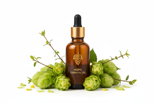 Óleo Essencial de Lúpulo

Nome botânico (INCI): Humulus lupulus Oil
CAS: 8007-04-3
Parte utilizada: Flores femininas (cones)
Método de extração: Destilação a vapor
Origem: Estados Unidos
Pureza: 100% puro e natural, sem aditivos

Características Físico-Químicas
Aparência: Líquido oleoso amarelo a âmbar
Odor: Amadeirado, herbáceo, terroso e levemente amargo
Solubilidade: Solúvel em água. Solúvel em óleos e solventes orgânicos
Densidade: 0,870 – 0,900 g/mL