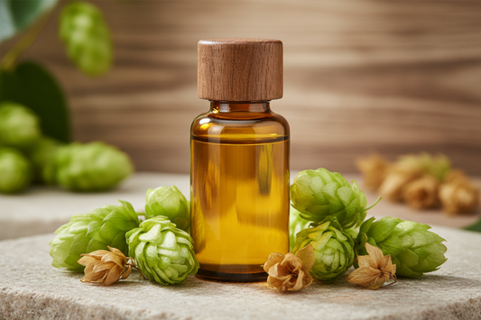 Óleo Essencial de Lúpulo

Nome botânico (INCI): Humulus lupulus Oil
CAS: 8007-04-3
Parte utilizada: Flores femininas (cones)
Método de extração: Destilação a vapor
Origem: Estados Unidos
Pureza: 100% puro e natural, sem aditivos

Características Físico-Químicas
Aparência: Líquido oleoso amarelo a âmbar
Odor: Amadeirado, herbáceo, terroso e levemente amargo
Solubilidade: Solúvel em água. Solúvel em óleos e solventes orgânicos
Densidade: 0,870 – 0,900 g/mL