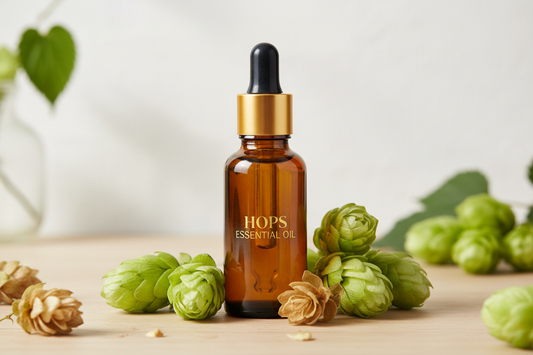 Óleo Essencial de Lúpulo

Nome botânico (INCI): Humulus lupulus Oil
CAS: 8007-04-3
Parte utilizada: Flores femininas (cones)
Método de extração: Destilação a vapor
Origem: Estados Unidos
Pureza: 100% puro e natural, sem aditivos

Características Físico-Químicas
Aparência: Líquido oleoso amarelo a âmbar
Odor: Amadeirado, herbáceo, terroso e levemente amargo
Solubilidade: Solúvel em água. Solúvel em óleos e solventes orgânicos
Densidade: 0,870 – 0,900 g/mL