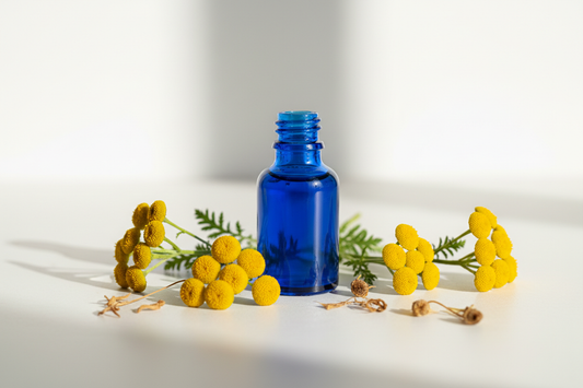 ÓLEO ESSENCIAL DE TANACETO AZUL
Tanacetum annuum – 100% puro e natural
Imagem sem nada escrito
Calmante profundo • Anti-inflamatório potente • Azul-cobalto terapêutico

O Óleo Essencial de Tanaceto Azul é um dos óleos mais raros e preciosos da aromaterapia. Extraído das flores da planta Tanacetum annuum, ele possui coloração azul intensa devido à presença do camazuleno, um componente com potente ação anti-inflamatória e regeneradora. Seu aroma é doce, herbáceo e levemente frutado, ideal para promover alívio
