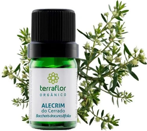 Óleo Essencial de Alecrim Do Cerrado (Orgânico) Terra Flor - Frasco com 5ml - Mundo dos Óleos
