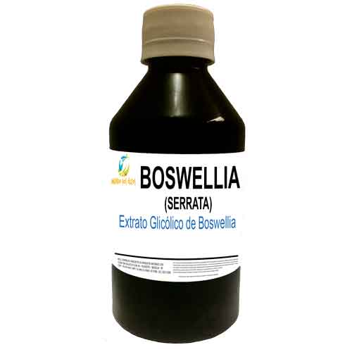 Extrato Glicólico de Boswellia Serrata