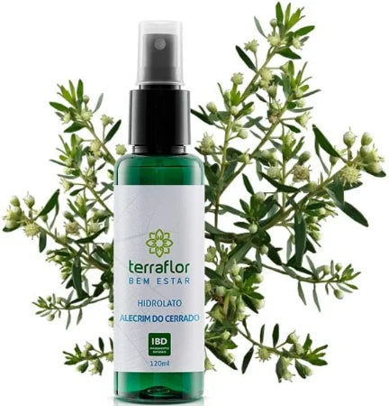 Hidrolato de Alecrim do Cerrado - Terra Flor - Frasco com 120ml - Mundo dos Óleos