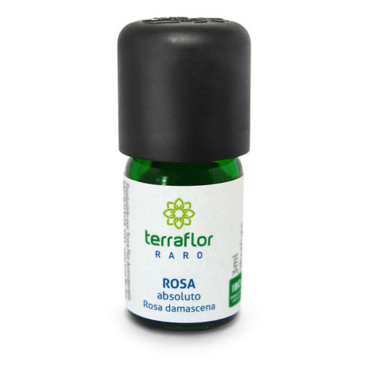 Óleo Essencial de Absoluto Rosa  - Terra Flor - Frasco com 3ml - Mundo dos Óleos