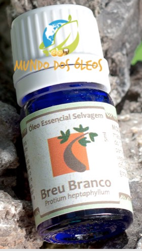 Óleo Essencial Orgânico de Breu Branco - Oshadhi - Frasco com 5ml - Mundo dos Óleos