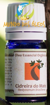 Óleo Essencial Orgânico de Cidreira do Mato - Oshadhi - Frasco com 5ml - Mundo dos Óleos
