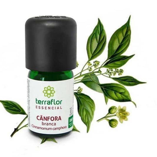 Óleo Essencial de Cânfora branca - Terra Flor - Frasco com 5ml - Mundo dos Óleos