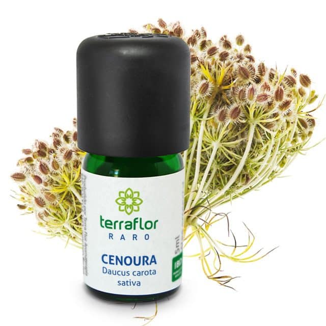 Óleo Essencial de Cenoura (sementes) - Terra Flor - Frasco com 5ml - Mundo dos Óleos