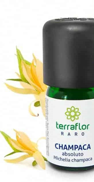 Óleo Essencial de Absoluto Champaca - Terra Flor - Frasco com 3ml - Mundo dos Óleos