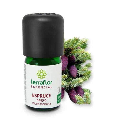 Óleo Essencial de Espruce Negro - Terra Flor - Frasco com 5ml - Mundo dos Óleos