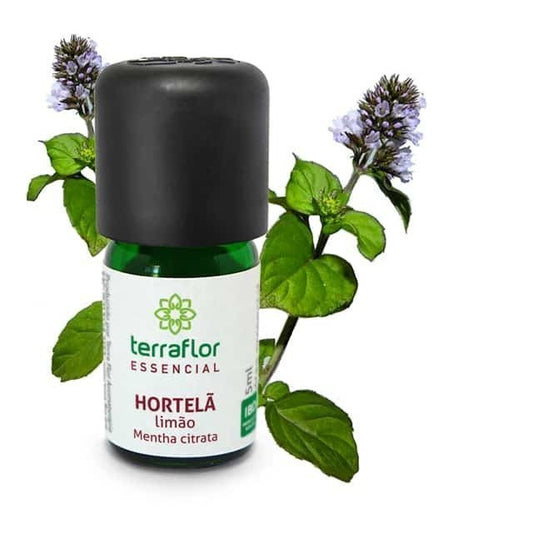 Óleo Essencial Hortelã Limão - Terra Flor - Frasco com 5ml - Mundo dos Óleos