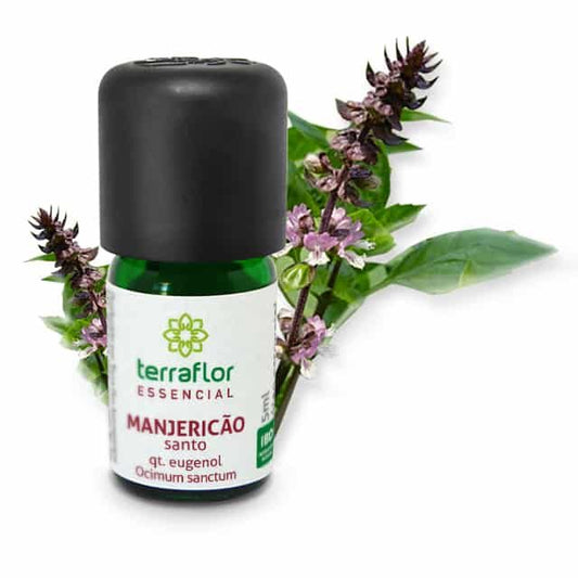 Óleo Essencial de Manjericão Santo - Terra Flor - Frasco com 5ml - Mundo dos Óleos