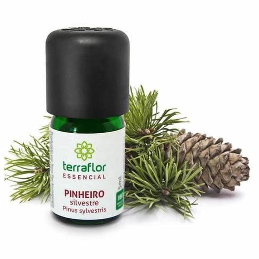 Óleo Essencial de Pinheiro Silvestre - Terra Flor - Frasco com 5ml - Mundo dos Óleos