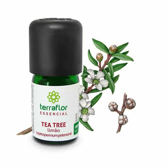 Óleo Essencial de Tea Tree Limão - Terra Flor - Frasco com 5ml - Mundo dos Óleos