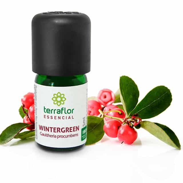 Óleo Essencial de Wintergreen - Terra Flor - Frasco com  5ml - Mundo dos Óleos