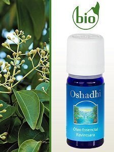 Óleo Essencial de Ravintsara - Oshadhi - Frasco com 5ml - Mundo dos Óleos