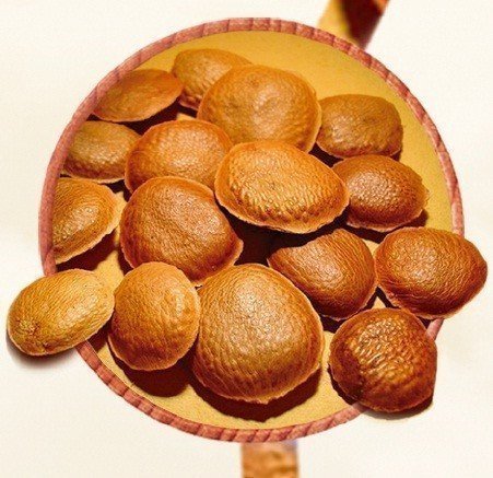 Óleo de Sucupira Desodorizado - Mundo dos Óleos